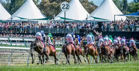 flemington races 7th november