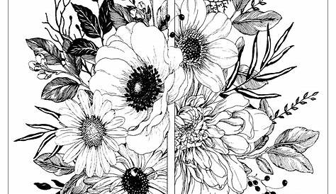 Fleur Noir Et Blanc A Imprimer s Roses Dessin Beau En Composition Parfait Pour