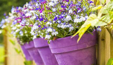 Fleurs Dete En Pot Jardinière D'été 20 Idées DIY Pour Créer Un Paradis