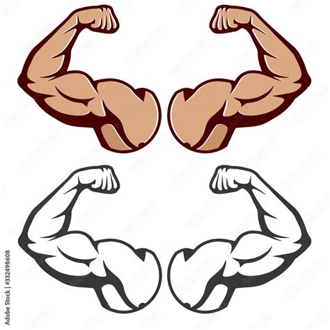 Flex Arms Vector