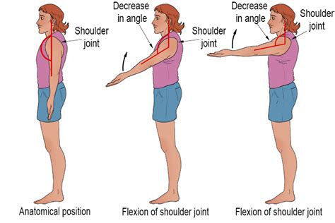 Flex Shoulder Joint