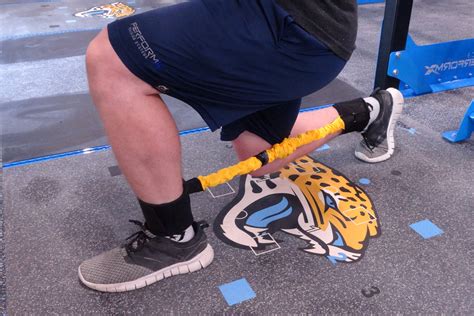 Flex Trainer X Exercises