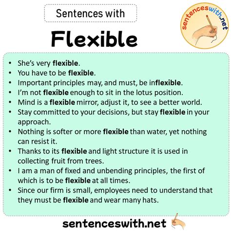 flexibility in a sentence exercise