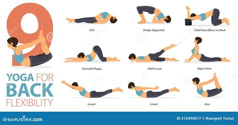 flexibility stretches for back