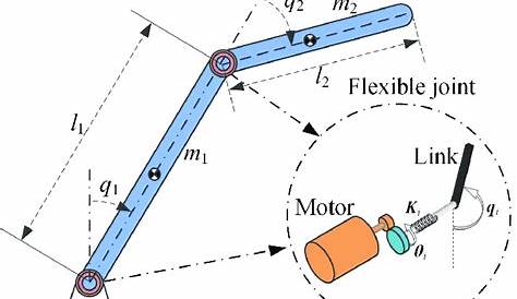 2 Dof Electrically Driven Flexible Joint Robot Manipulator