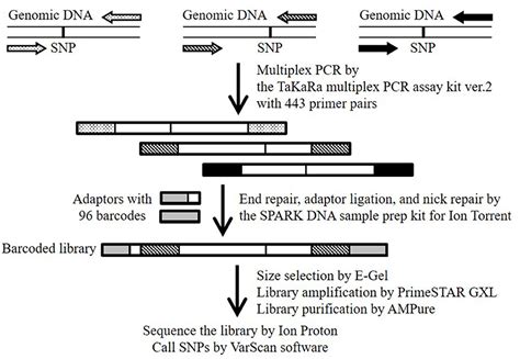 Flexible Sequencing In Computer Science