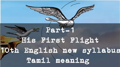 flight meaning in tamil