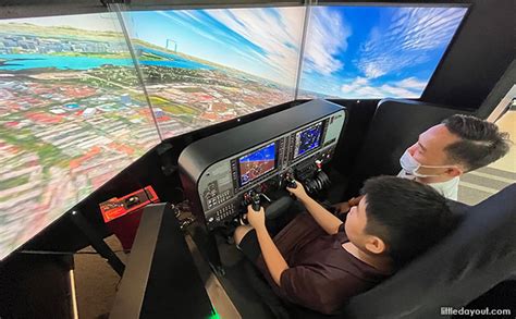 flight simulator experience