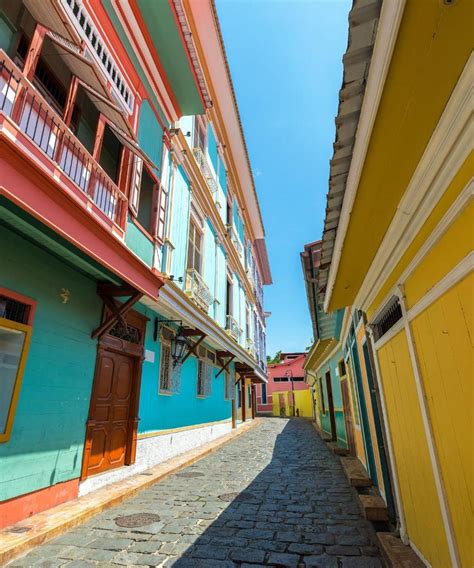 Discover the Enchanting Journey: Best Flights to Ecuador for a Once-in-a-Lifetime Experience