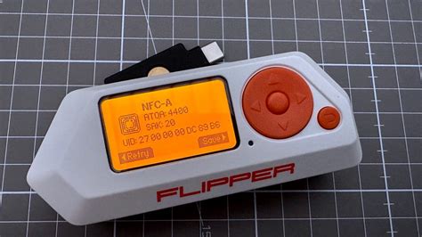 Flipper Zero Projects Reddit
