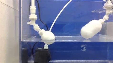 Float Valve Mini Aquarium