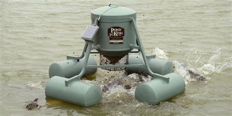 Floating Fish Feeder