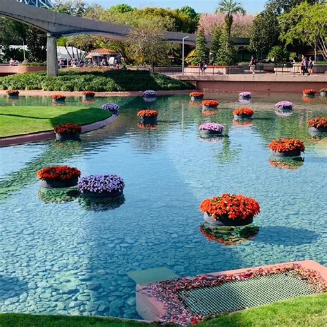 Floating Gardens Landscaping