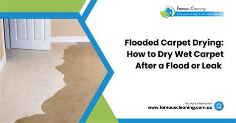 flood carpet drying