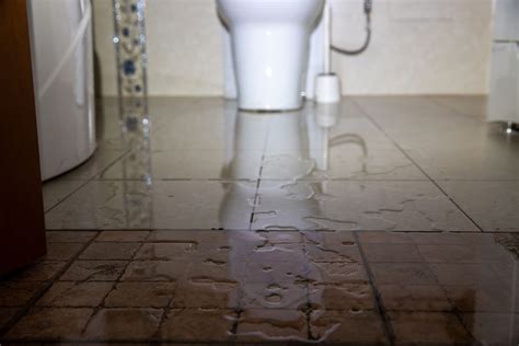 Flooded Bathroom? Don't Panic! Our Expert Tips Will Help You Clean Up the Mess in No Time