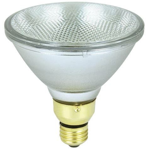 Floodlight Bulbs Home Depot