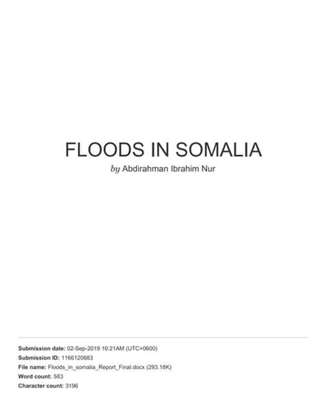 floods in somalia pdf