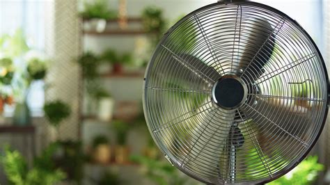 Best Large Floor Fans For Cooling Simple Home
