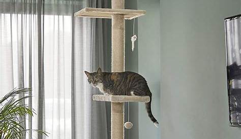 Amazon Cat Tree Kitty Mansions