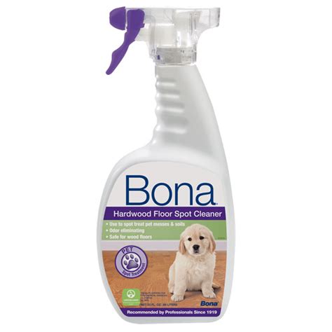 floor cleaning solution safe for dogs
