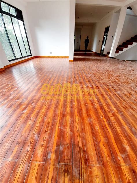 persianwildlife.us:floor paint design sri lanka