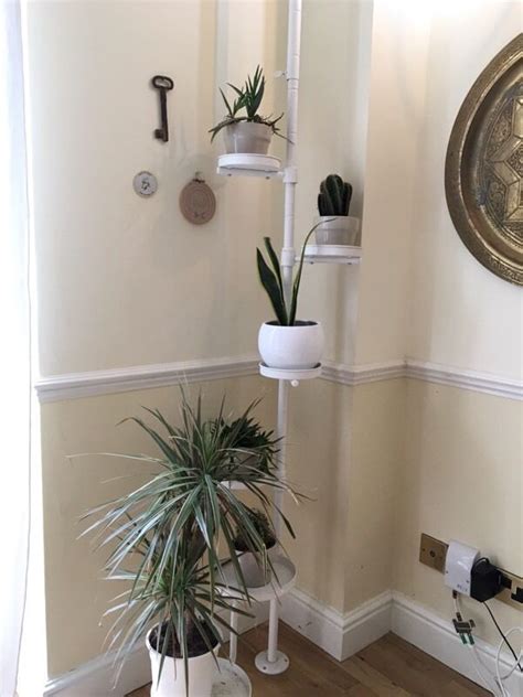 floor to ceiling plant pole