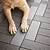 flooring suitable for pets