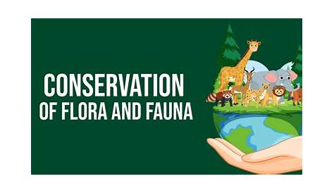 Conservation of Flora & Fauna: Conservation Of Flora And Fauna