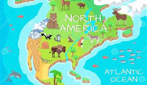 North America Flora and Fauna Map, Flat Elements. Animals, Birds Stock