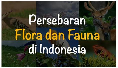 Materi Lengkap! Flora dan Fauna di Indonesia dan Dunia