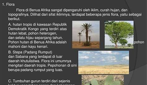 Peta Persebaran Flora dan Fauna di Benua Afrika - YouTube