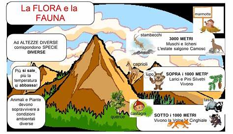 L'origine delle montagne Italian Language, Elearning, Geography, L2
