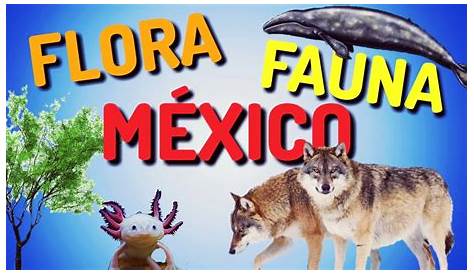 Flora y Fauna de México | LaReserva.com