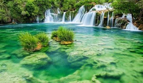 Flora Och Fauna I Plitvice Lakes Nationalpark Eller Nacionalni Park