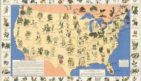 Flora (United States - USA) map - nona.net