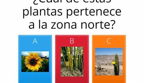 Resultados de la búsqueda de imágenes: flora y fauna norte de chile