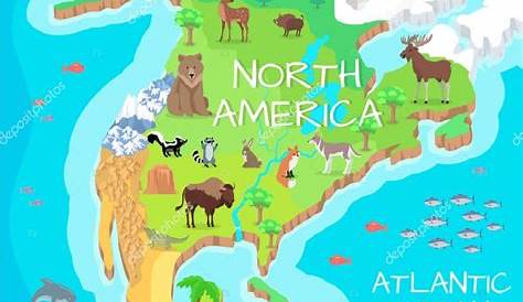 Isométrico 3d América del Norte flora y fauna mapa de elementos