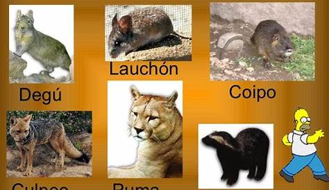 Flora y Fauna Zonas de Chile - [PPT Powerpoint]