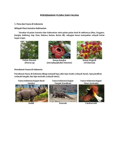 flora dan fauna pdf