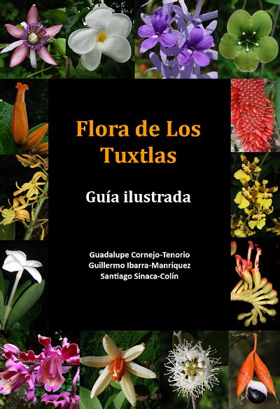 flora de los tuxtlas