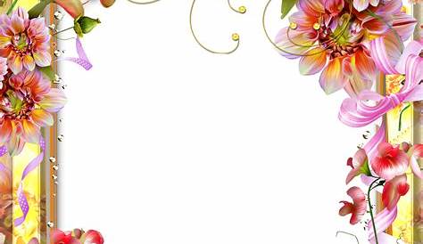 SYED IMRAN: flower-border-vector PNG