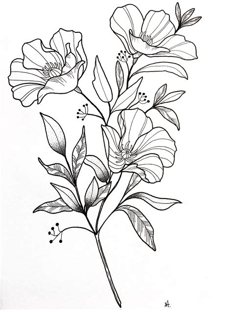 Floral Drawing Simple