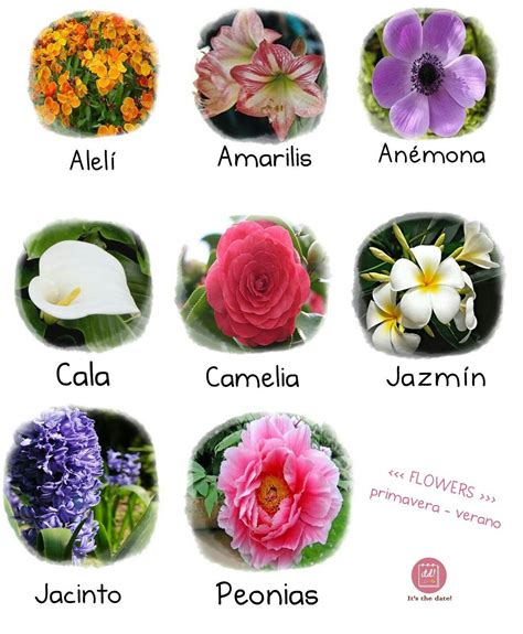 flores lista de nomes
