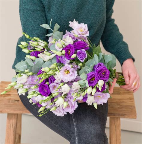 Signos de zodiaco06 ilustración del vector. Ilustración de floral