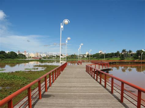 floricultura em sao jose do rio preto