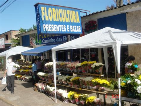 floricultura no centro de porto alegre
