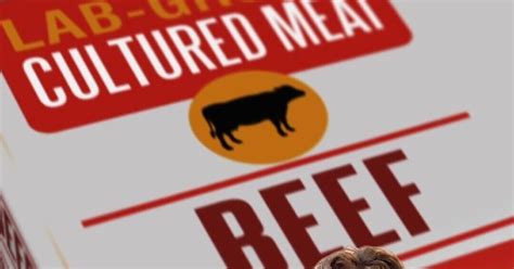 florida banning lab-grown meat