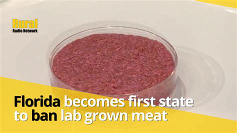florida bans lab grown meat