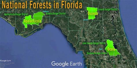 florida city home to a national forest