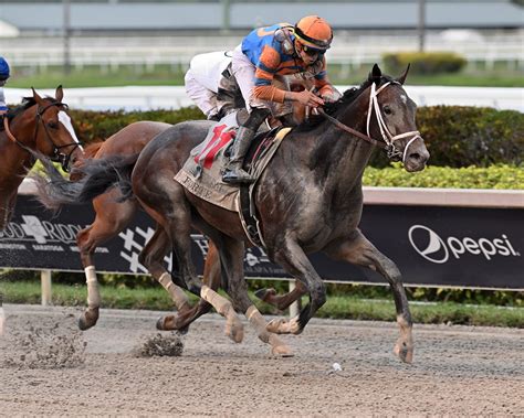 florida derby friends lake winning a race